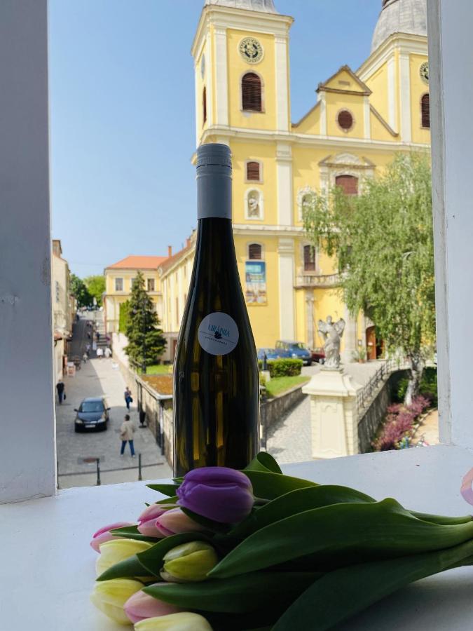 Uránia Apartmanház Eger Kültér fotó